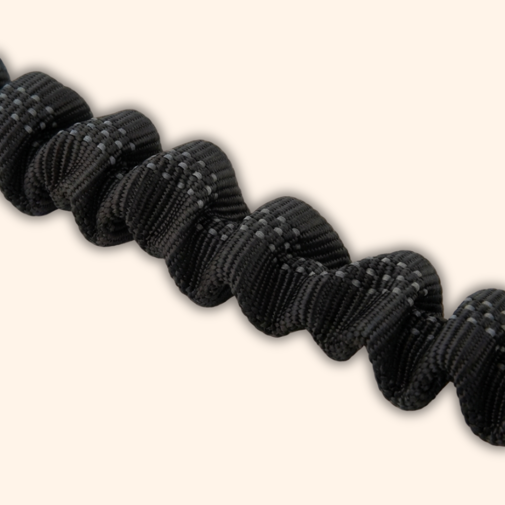 The Duffy Bungee Lead