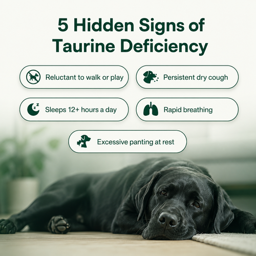 PawDuffy™  Dog Taurine