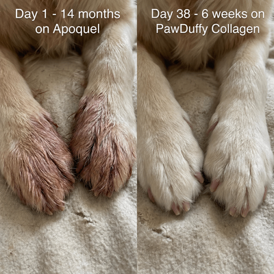 PawDuffy™ Dog Liquid collagen