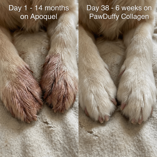 PawDuffy™ Dog Liquid collagen
