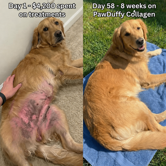 PawDuffy™ Dog Liquid collagen