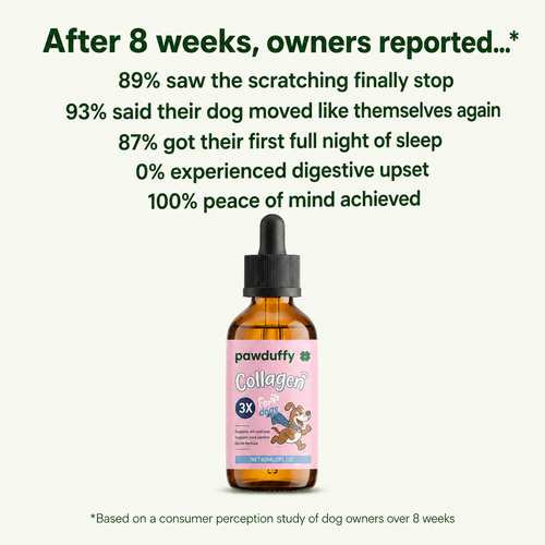 PawDuffy™ Dog Liquid collagen