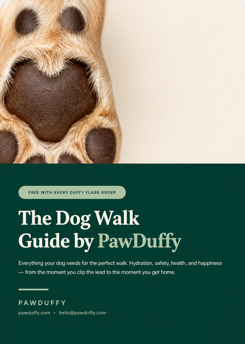 The Dog Walk Guide