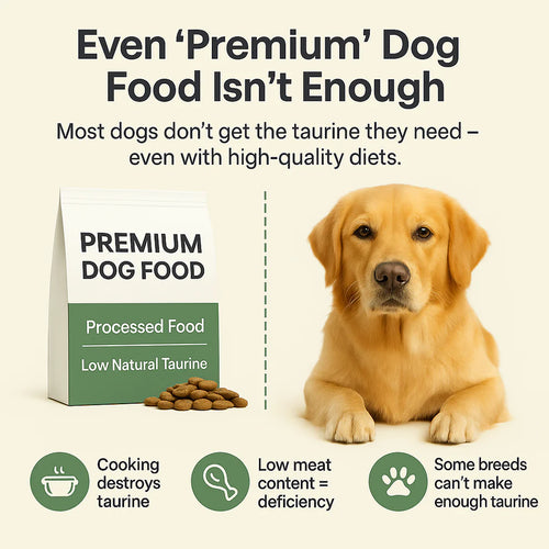 PawDuffy™  Dog Taurine