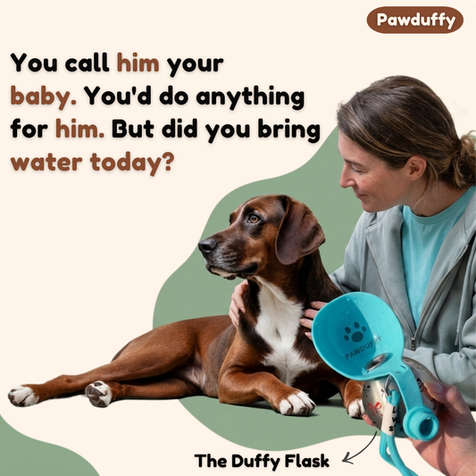The Duffy Flask