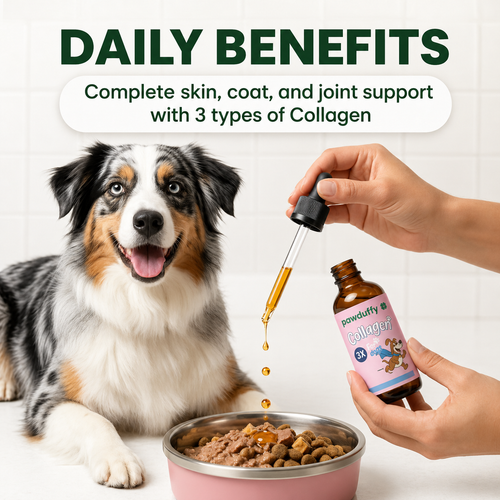 PawDuffy™ Dog Liquid collagen